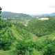 Phối cảnh dự án trang trại sinh thái Lâm Nguyên