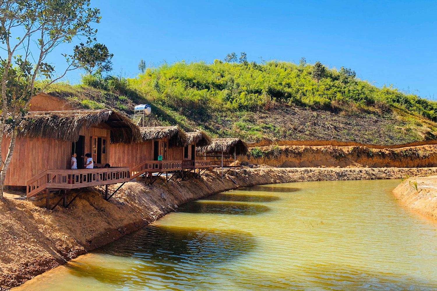 Trang trại Lâm Nguyên: Nơi mang đến nhiều lợi nhuận bất ngờ Trang trại Lâm Nguyên: Nơi mang đến nhiều lợi nhuận bất ngờ