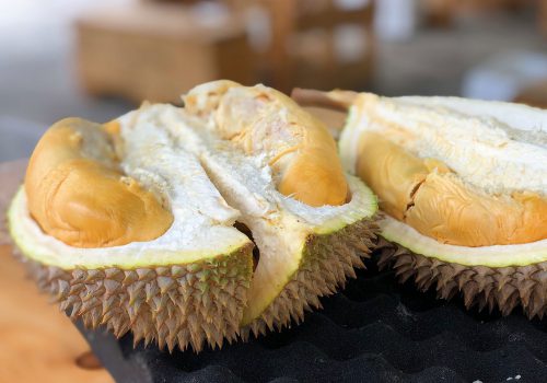 Nguồn điện trong tương lai từ mít và sầu riêng