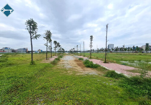 Nhà đầu tư mắc kẹt vì ham đất hoang vu