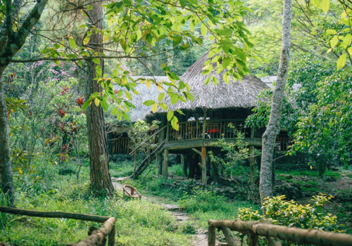Xu hướng phát triển Farmstay nhìn từ tiềm năng bất động sản Nông Nghiệp