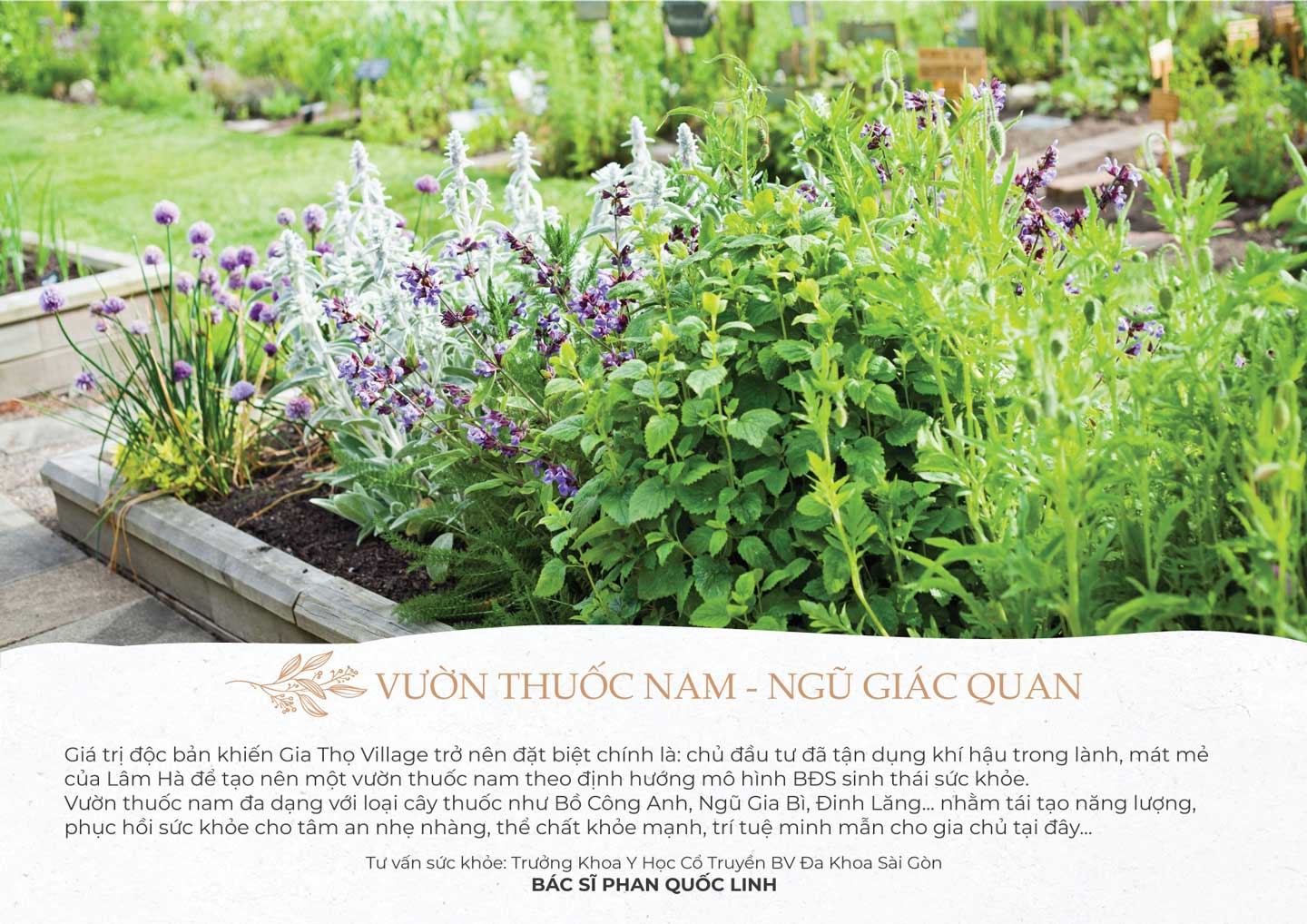 Vườn thuốc nam Gia Thọ Village 27-05-2023