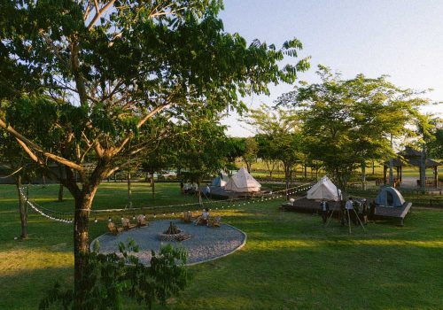 Waterpoint sở hữu mảng xanh lên đến hơn 65ha