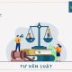 Ảnh đại diện tư vấn luật 26 An Tường Real