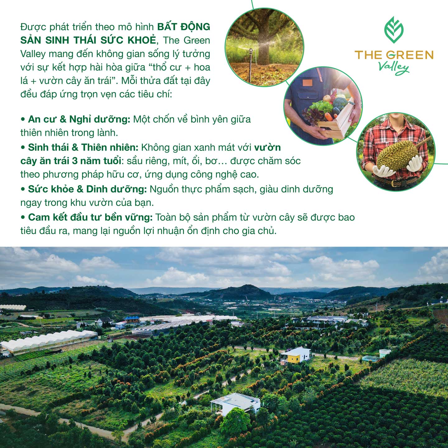 Tiện ích The Green Valley